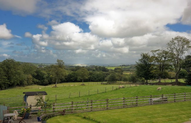 Parc-yr-Hebog - Photo 28