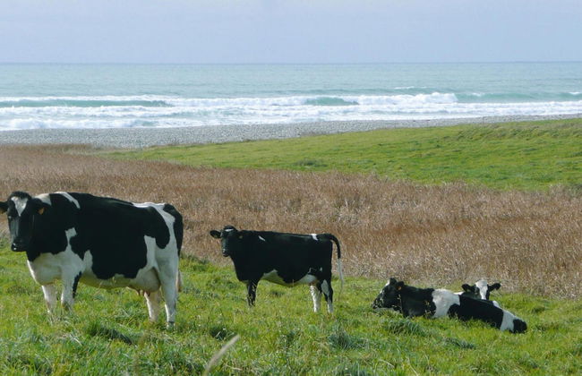 Holiday Home, Plovan - Foto 19