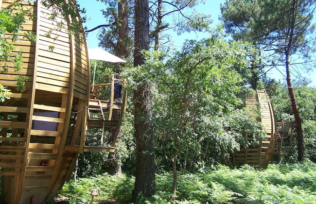 Cap'Cabane - Foto 19