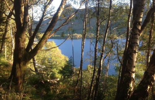 The Garden Flat - Photo 59