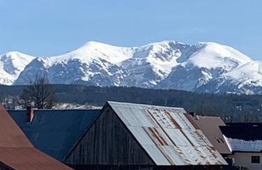 Domki Magdalena przy termach chochołowskich - Foto 9