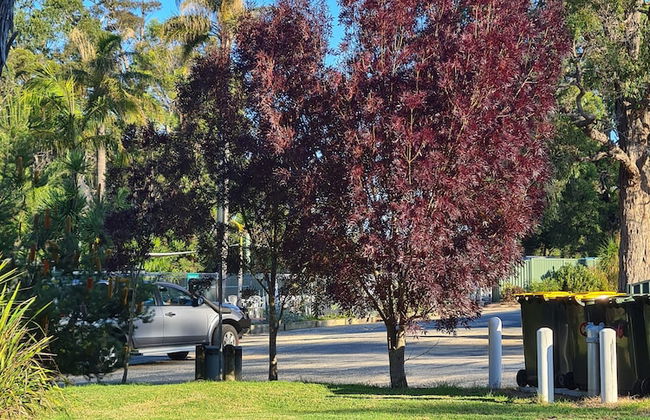 Mallacoota's Shady Gully Caravan Park - Photo 44