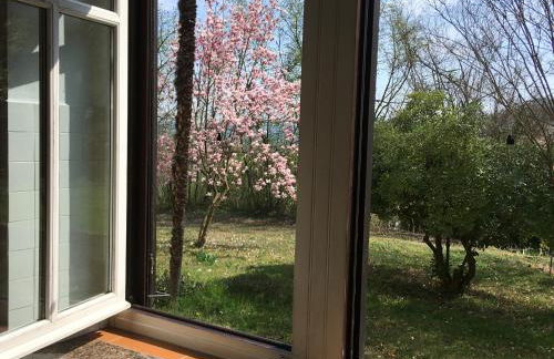 Villa Bacchus - Foto 24