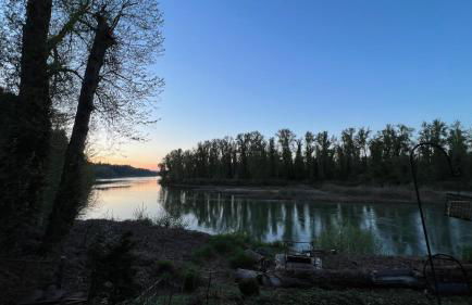 Blue Heron Sanctuary & Serene, river-front cottage - Foto 55