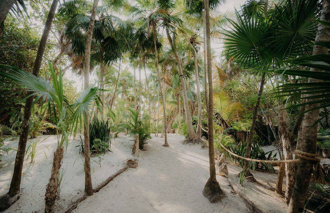 Spacious Apartment With Terrace and Rooftop Pool - Photo 53