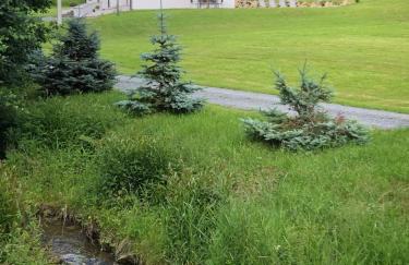 Apartamenty ARNIKA - Foto 71