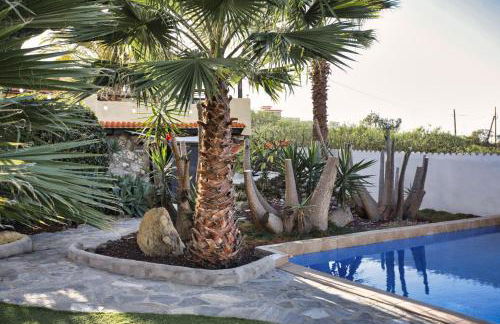 Finca Vino Tinto 5s - Foto 32