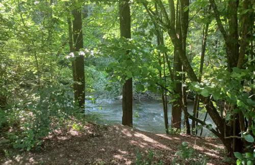 Mojos Bodenseetraum - Photo 28