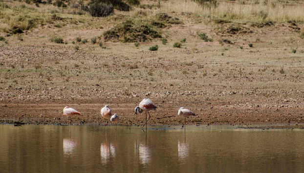 Laguna Colorada de Yavi