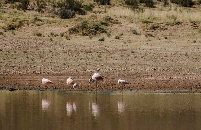 Yavi and Quiaca Trip - Photo 5