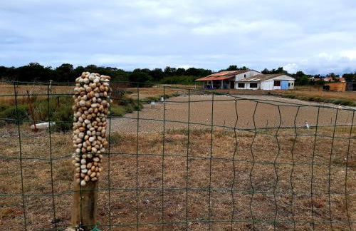 La Fleur des Marais - Maison tout confort au calme, grand jardin & balançoire - Foto 34