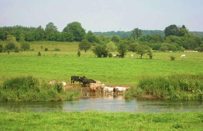 Villa With Private Pool In Blaregnies - Foto 37