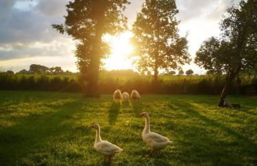 Landhaus Ferienwohnung Wagner - Foto 24