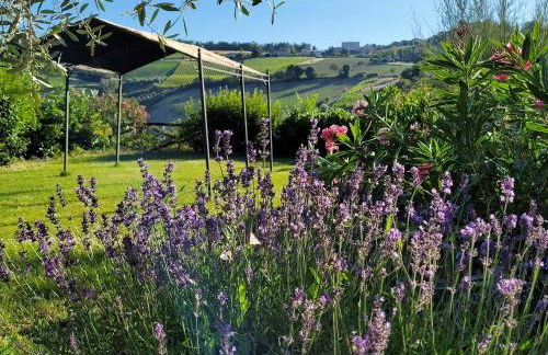 Agriturismo Fiorano - Foto 6