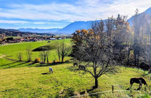 Staufen-Chalet Hochreit - Foto 48