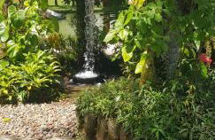 Pousada Nonno Marquetti - Foto 17