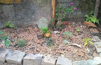 Casa para família curtir o Verao na praia de Cabecudas com piscina e quintal amplo - Foto 16