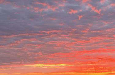 Domki Zalesie - Foto 41