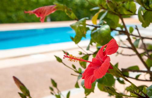 Apartamentos Island - Foto 24