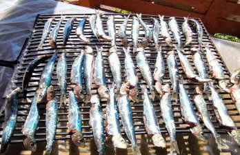 Apartman None - Photo 22