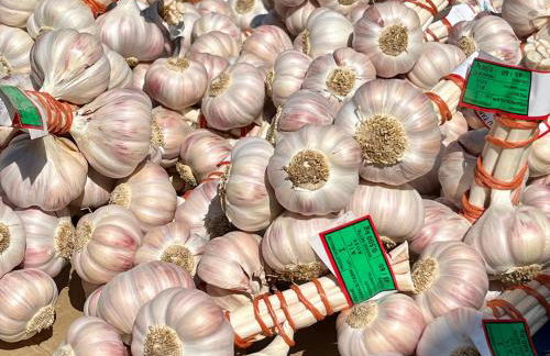 Chez Elia, pour les amoureux des vieilles pierres - Foto 50