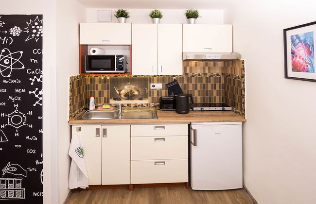 School Apartment by metro stop Vyšehrad - Foto 20