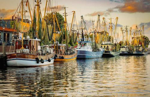 Gulfhaus Alte Meesterei - Foto 29