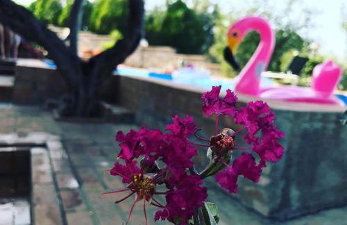 Residence Cassiodoro - Photo 19