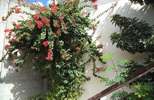 Chalés Xibayka Ilhabela - Foto 34