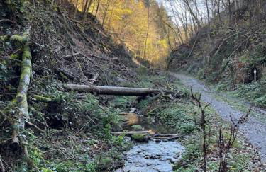 Ferienwohnung Sofie - Foto 51