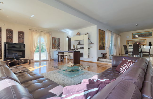 Salamander - Foto 16