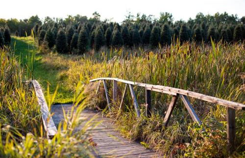 Experience the Rocks Estate like never before with a stay at the Gardeners Cottage! - Foto 30