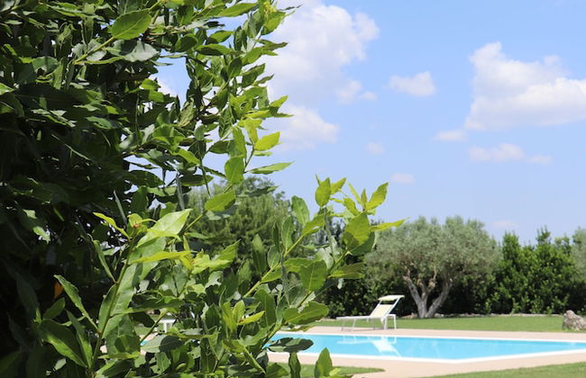 Tenuta Aguglia - Foto 29