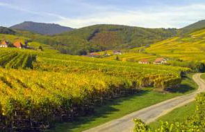 Le Petit Pèlerin - Foto 13