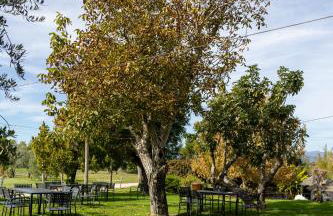 Agriturismo La Collina - Foto 28