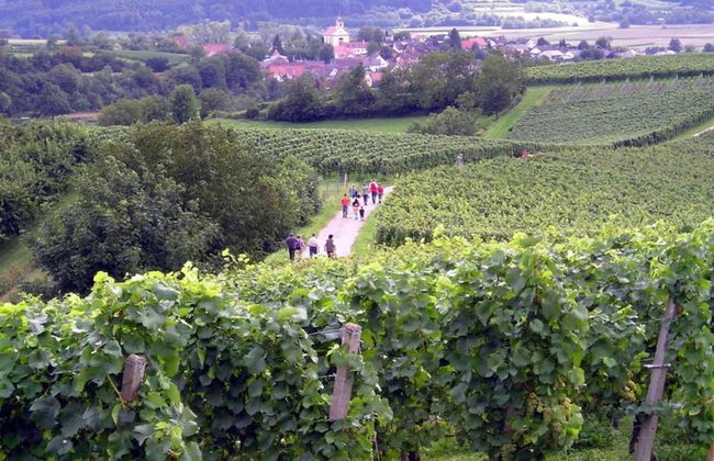 Ferienwohnung in Herbolzheim - Foto 26