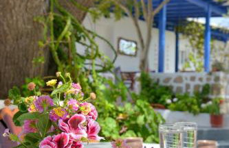 Gemilos Nook - Foto 32