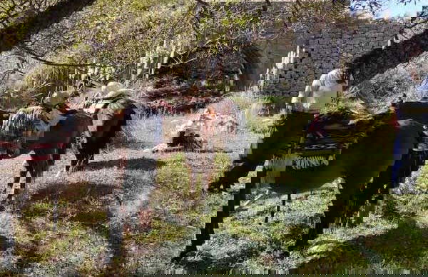 Balade à cheval de 3 jours dans les sierras de Cordoue - Photo 6