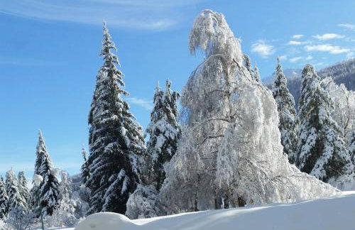 Serrecheholidays - Foto 10