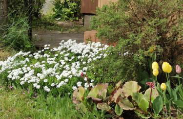 Zur langen Heide - Foto 24