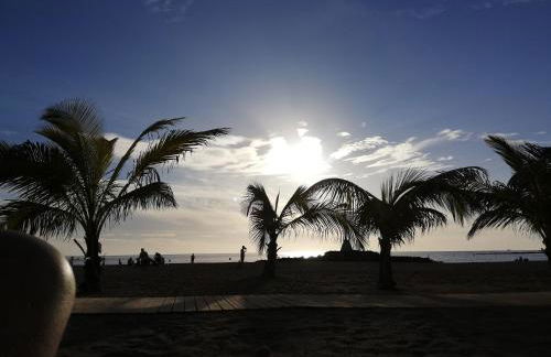 Apartamentos EOS - Foto 18