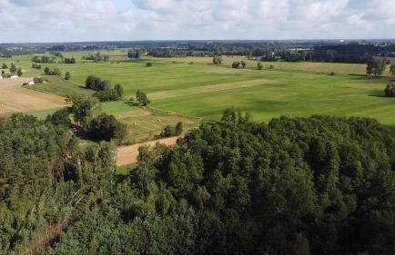 Maciejówka Gospodarstwo Agroturystyczne - Foto 31