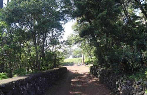 Mar D'Abstração - Photo 8