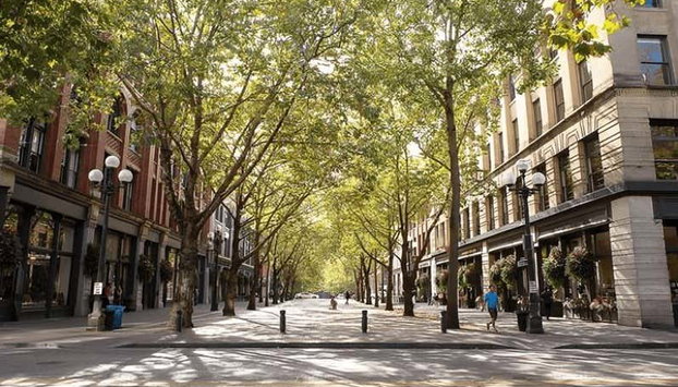 Seattle Food Tour - Foto 5, Walk along Occidental Avenue