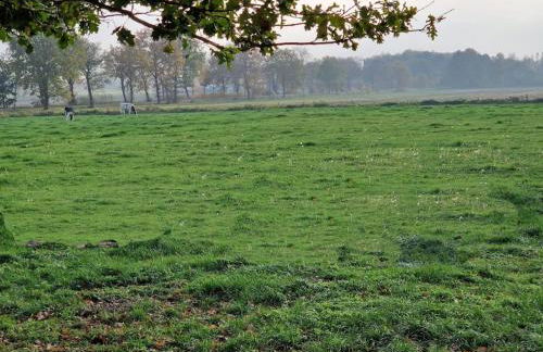 Gemütliche Wohnung direkt am Küstenkanal! - Foto 37