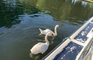 Lovely Serenity 1 and gorgeous Serenity 2 are 3 bedroom 2 bathroom caravans - Foto 30