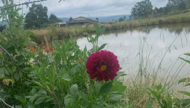POUSADA FAZENDA PAIM - Foto 4