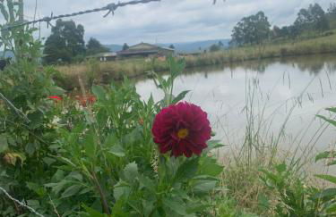 POUSADA FAZENDA PAIM - Foto 4