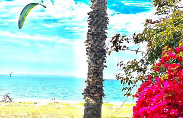 Windsurf Beach Front - Photo 18