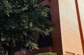 House Samaniego 12 - Photo 13